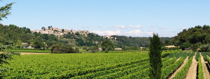 CCPAL_Luberon_Menerbes_Vignes