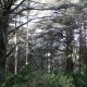 Photo PNRL