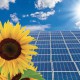 New solar cells and sunflowers