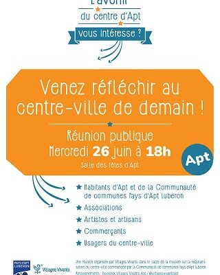 Flyer_réunion publique Apt - Copie