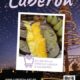 CAMPAGNE_COVID_LUBERON-vignette
